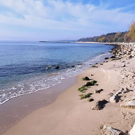 호텔 Divesta - Self Check In 3*